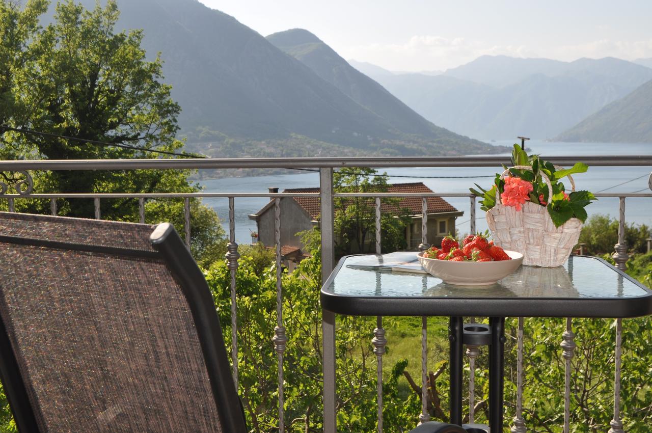 Apartment Maritimo Kotor