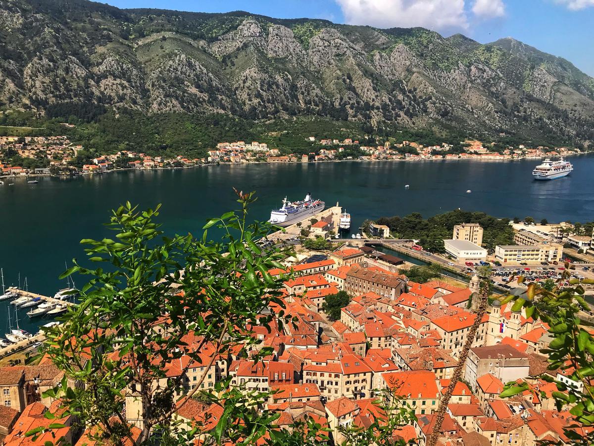 Apartment Maritimo Kotor